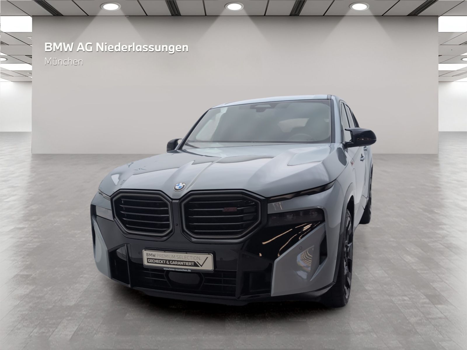 BMW XM - Bild 4