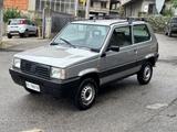 Fiat Panda 1000 4x4 Trekking - gebrauchte Fiat Panda aus dem Jahr 1992