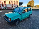 Fiat Panda 900 i.e. cat Young 2000 - gebrauchte Fiat Panda aus dem Jahr 2000