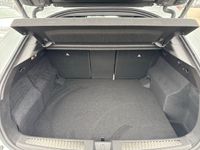 Renault Rafale - Vorschau Bild 12