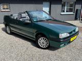 Renault 19 Cabrio Oldtimer 3.Hand Original! TÜV NEU - Renault R 19: Cabrio