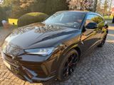 Lamborghini Urus S B&O HUD RSE Carbon 23" - Lamborghini Urus in Bremen