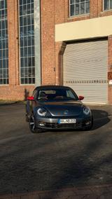 Volkswagen VW Beetle Cabrio Club Edition Xenon*RFK*Le... - Volkswagen Beetle CLUB mit Benzin-Antrieb