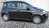 Fiat Panda 1,0  Hybrid (MHEV) Pandina Base NBA PDC SH - Fiat Panda Gebrauchtwagen in Berlin