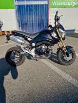 Honda MSX 125 - Offers matching your search criteria