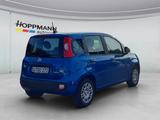 Fiat Panda 1.0 Mild-Hybrid *Klima*PDC*5sitzer* - Fiat Panda: Sitzer