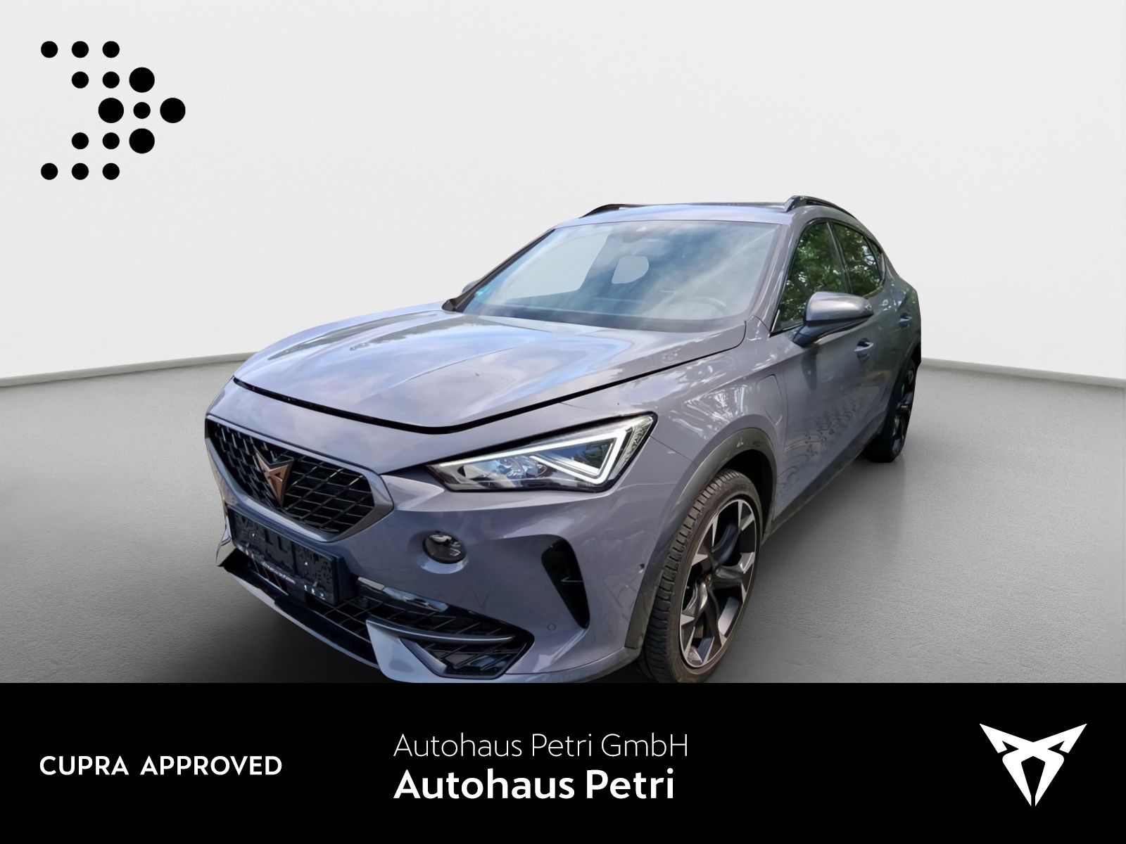 Cupra Formentor VZ 1.4 TSI eHybrid*NAVI*PANO*AHK