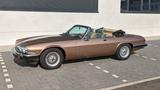 Jaguar XJS Cabrio V12 Automatik **Note 2**... - Jaguar Gebrauchtwagen von 1989