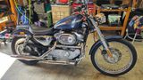 Harley-Davidson 883XL1 100 Jahre Edition 1-Hand original KM - Offers matching your search criteria