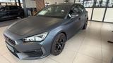 Cupra Leon VZ 2.0 TSI -DSG- *Matt Grau* - Cupra Leon: Matt