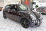 MINI ONE  - Panorama-Leder-h&k-Sitzheizung-PDC-Visual - MINI MINI: Braun, Leder