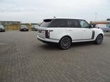 Land Rover Range Rover  D300 Westminster - Land Rover Range Rover: Westminster
