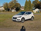 Hyundai Santa Fe 2.2 CRDI Premium AWD Xeno... - Hyundai SANTA FE aus 2016