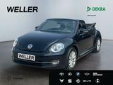 Volkswagen Beetle Cabriolet 1.2 TSI Design *PDC*Allwetter*S - Volkswagen Beetle: Cabrio