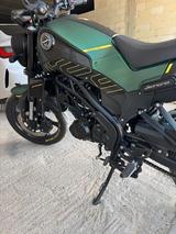 Benelli Leoncino 125 - BENELLI LEONCINO 125