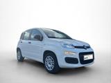 Fiat Panda Easy 69PS 5-Gang Schaltgetriebe - Fiat Panda EASY mit Benzin-Antrieb