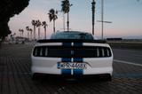 Ford Mustang Shellby GT350 - Ford Mustang: Gt350