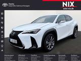 Lexus UX 300h 2.0 Hybrid F-Sport Design LED SHZ - Lexus Gebrauchtwagen in Frankfurt