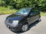 Fiat Panda 1.1 (169) - gebrauchte Fiat Panda aus dem Jahr 2005