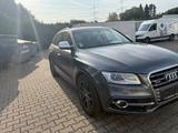 Audi SQ5 3.0 TDI competition quattro 1.Hand - Audi SQ5 in Essen