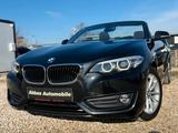 BMW 218i Cabrio Advantage