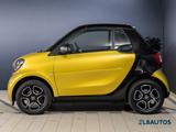 Smart fortwo cabrio passion Klimaautom/Sitzhzg/Tempom. - mit Benzin-Antrieb: Gelb, Cabrio