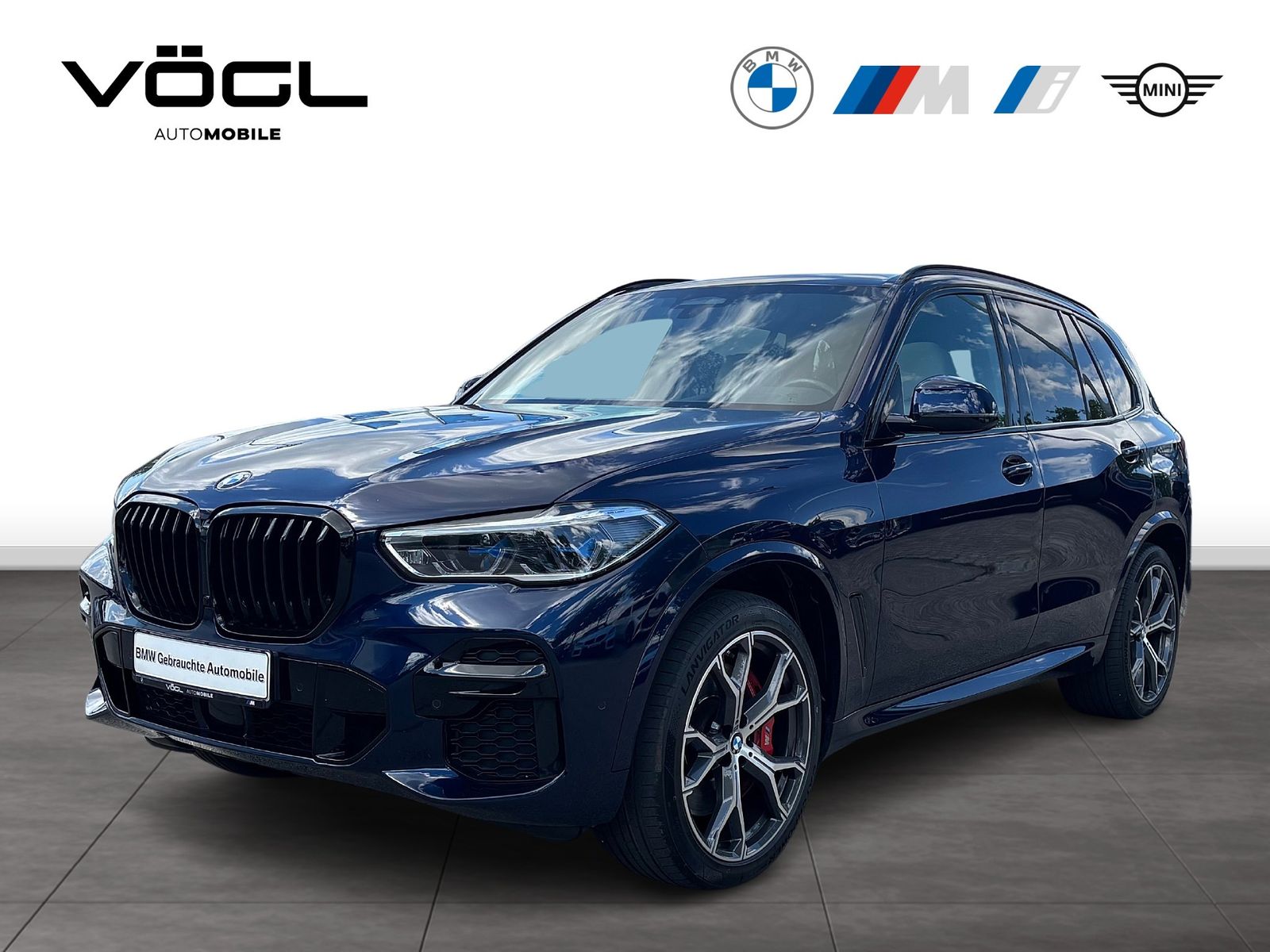 BMW X5 xDrive40d M Sportpaket Head-Up Panoramadach A