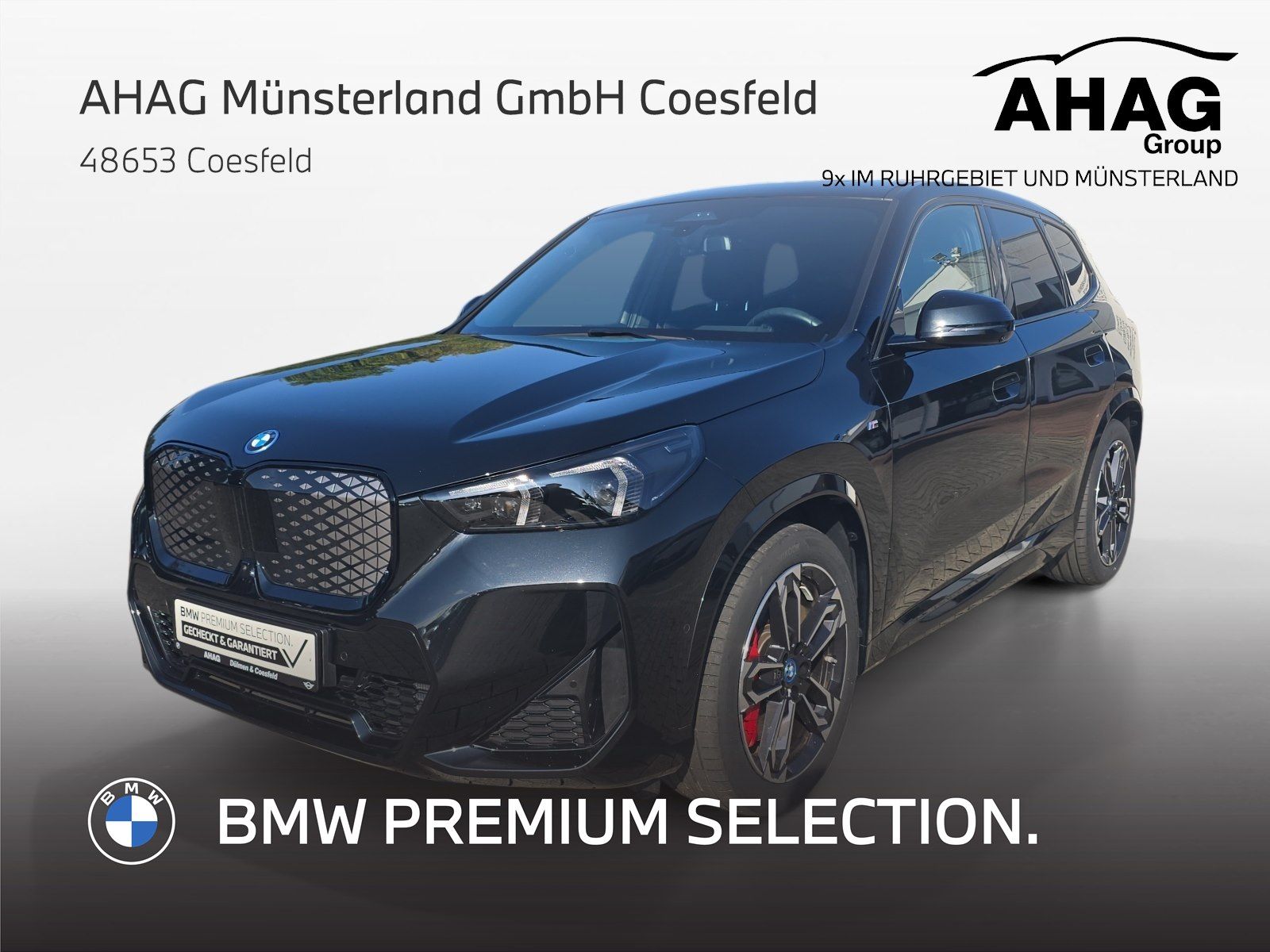 BMW iX1 xDrive30 M Sport Pro 360° el.Sitz HUD Pano