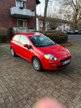 Fiat Punto  sehr gut zustand, klima - Fiat Punto in Essen