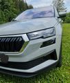 Skoda Karoq 2.0l TDI DSG 4x4 Selection - Neu - 115 km