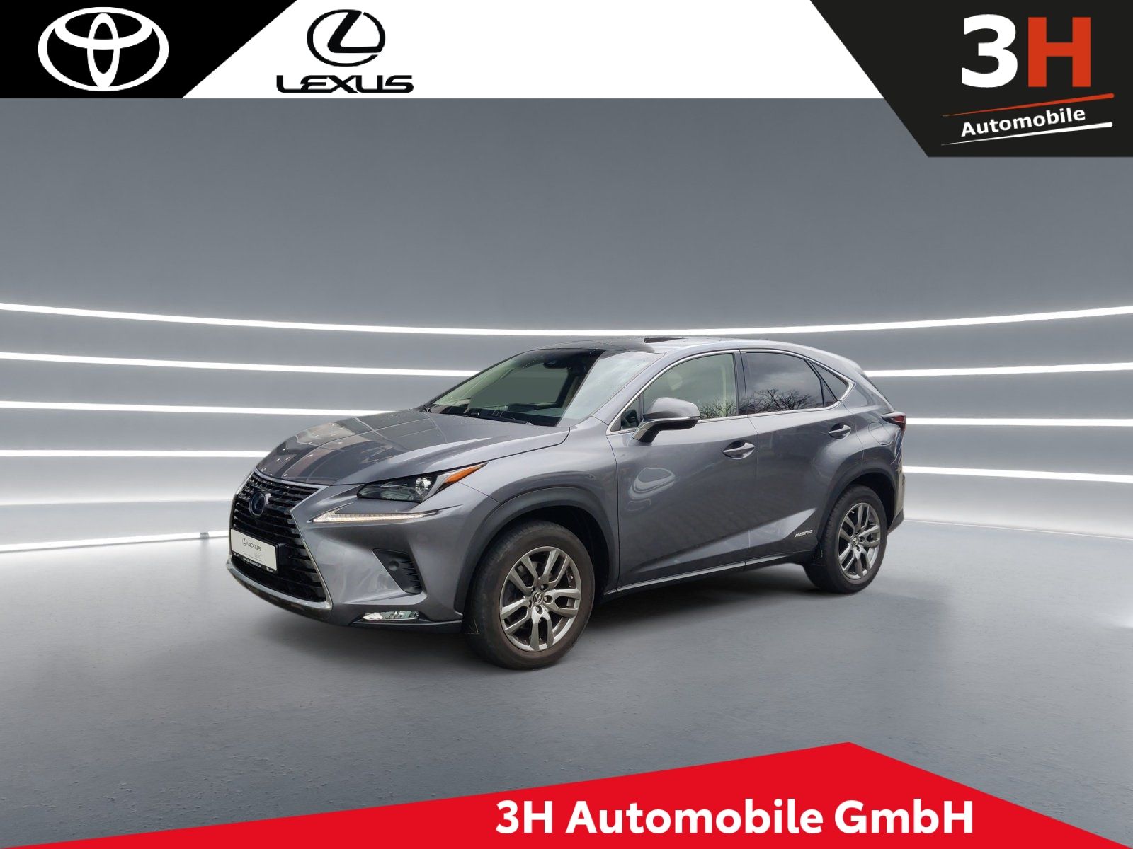 LEXUS ANDERE