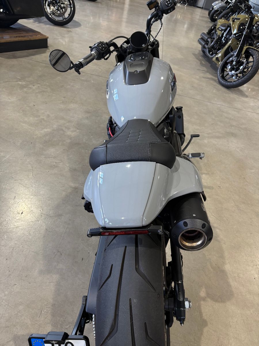Fahrzeugabbildung Harley-Davidson Sportster S 1250T Umbau