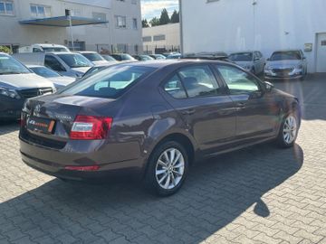 Skoda Octavia - 6