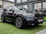 BMW X5 xDrive40d Sport-Automatic|M-Sportpaket|*VOLL* - BMW X5 Gebrauchtwagen in Wiesbaden