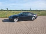 BMW 630i Cabrio - - BMW 630: Cabrio, 630i