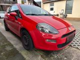 Fiat Punto 1,2 Benzin 69PS Klima Alu Bluet... - Fiat Punto: 1.6