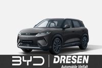 BYD ATTO 2 - Vorschau Bild 1