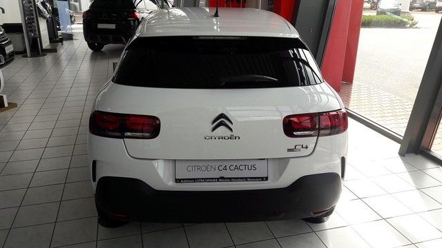 Fahrzeugabbildung Citroën C4 Cactus PureTech 110 S&S Origins