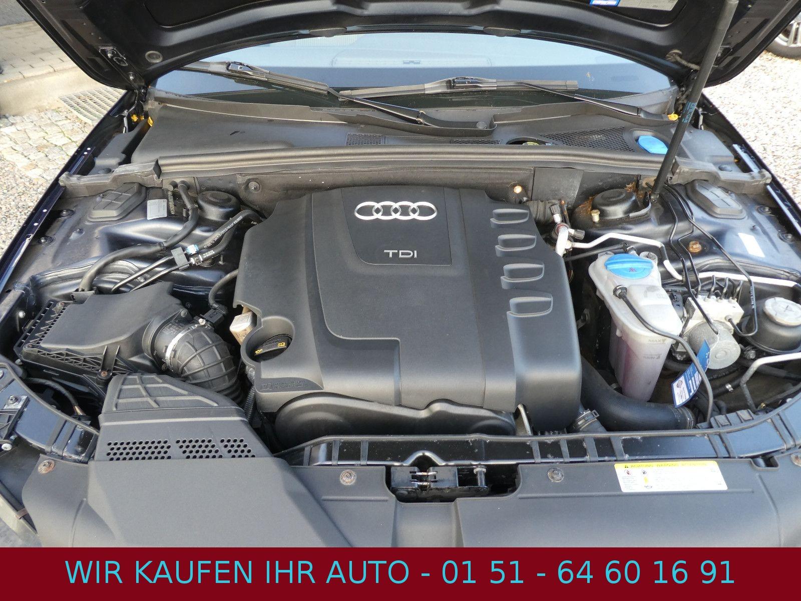 Audi Quattro 2010 — photo 27