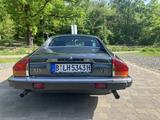 Jaguar XJS V12 - Jaguar: V12