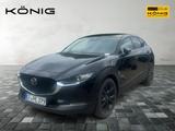 Mazda CX-30 2.5L e-SKYACTIV G 140 Automatik HOMURA - Mazda CX-30: Limousine