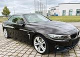 BMW 430i Cabrio Sport Line  - BMW 430 von privat