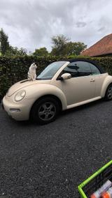 Volkswagen Beetle - Volkswagen Beetle: Beige