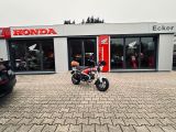 Honda DAX ST125A mit Zubehör - DAX