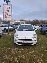 Fiat Punto 1.4 8V 5 porte Natural Power - Fiat Punto: Natural Power