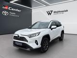 Toyota RAV4 4x2 Hybrid Team Deutschland*Technik Paket - gebrauchte Toyota RAV 4 aus dem Jahr 2023