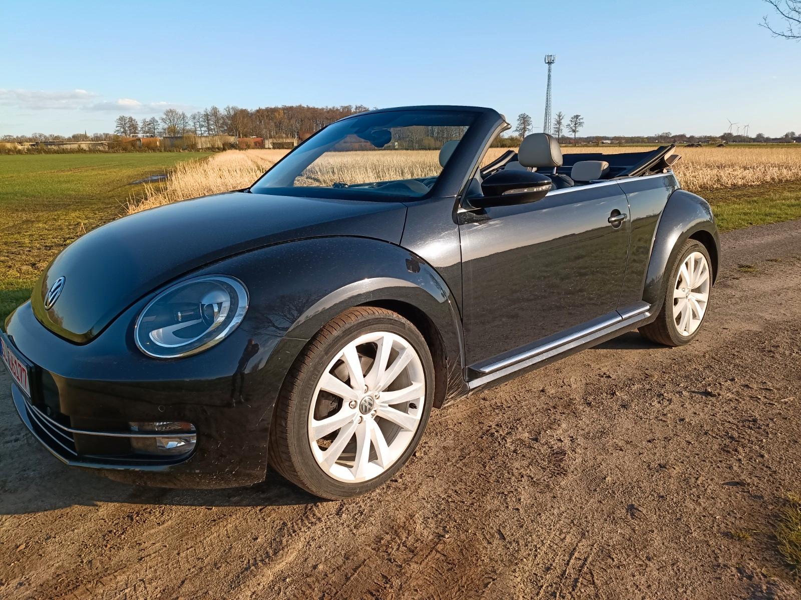 Volkswagen Beetle Cab. Excl Design,Leder,Xenon,DSG,Service!