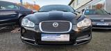 Jaguar XF 3.0 V6 Diesel Leder Bi-Xenon Lambdasonde def. - Jaguar Gebrauchtwagen von 2010