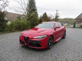 Alfa Romeo Giulia Quadrifoglio - Alfa Romeo Giulia aus 2019
