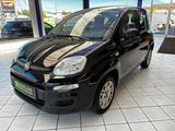 Fiat Panda Easy Klima HU/AU NEU Inspektion NEU - Fiat Panda: I